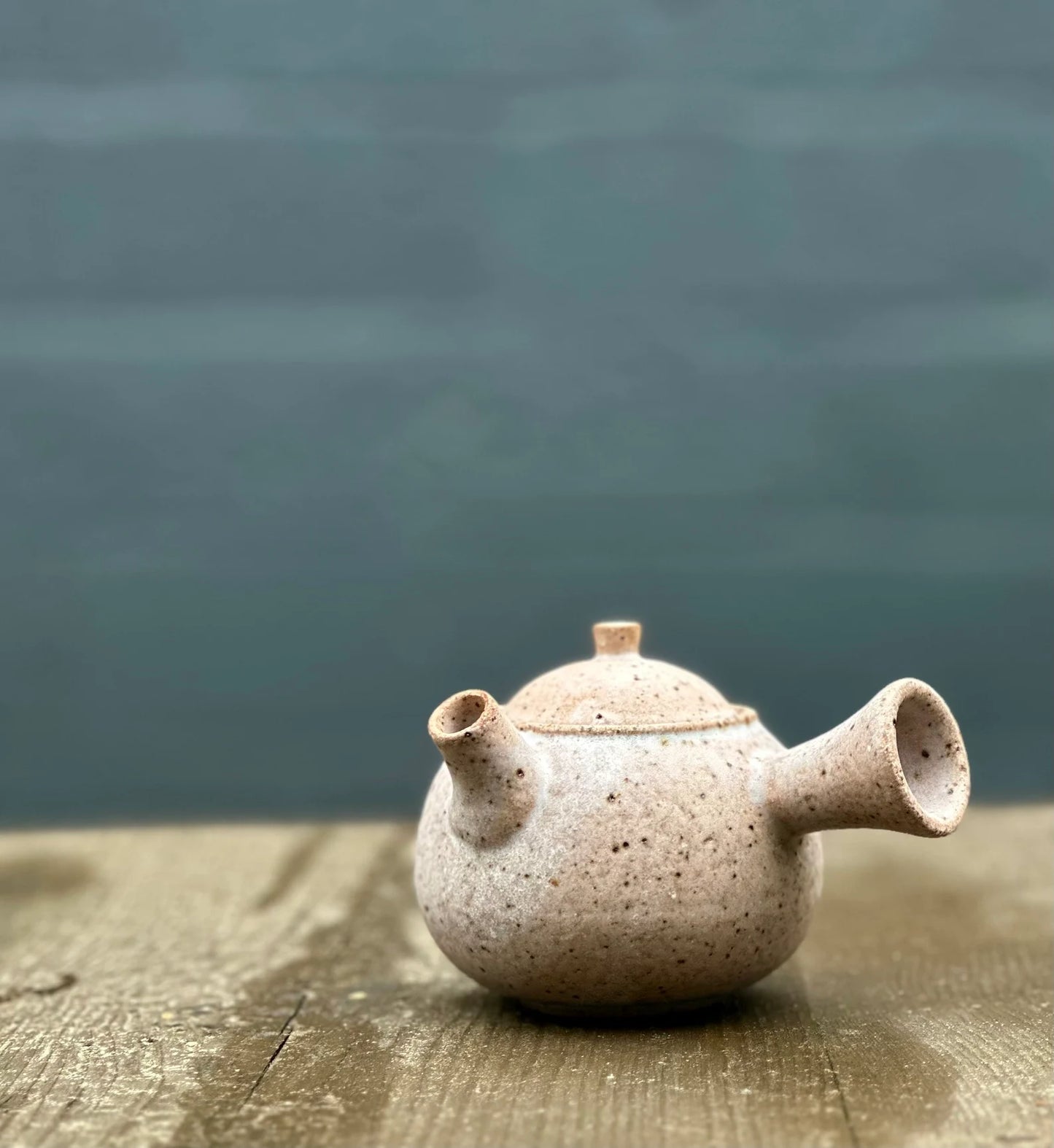 300 ml Kyusu Ceramic Teapot