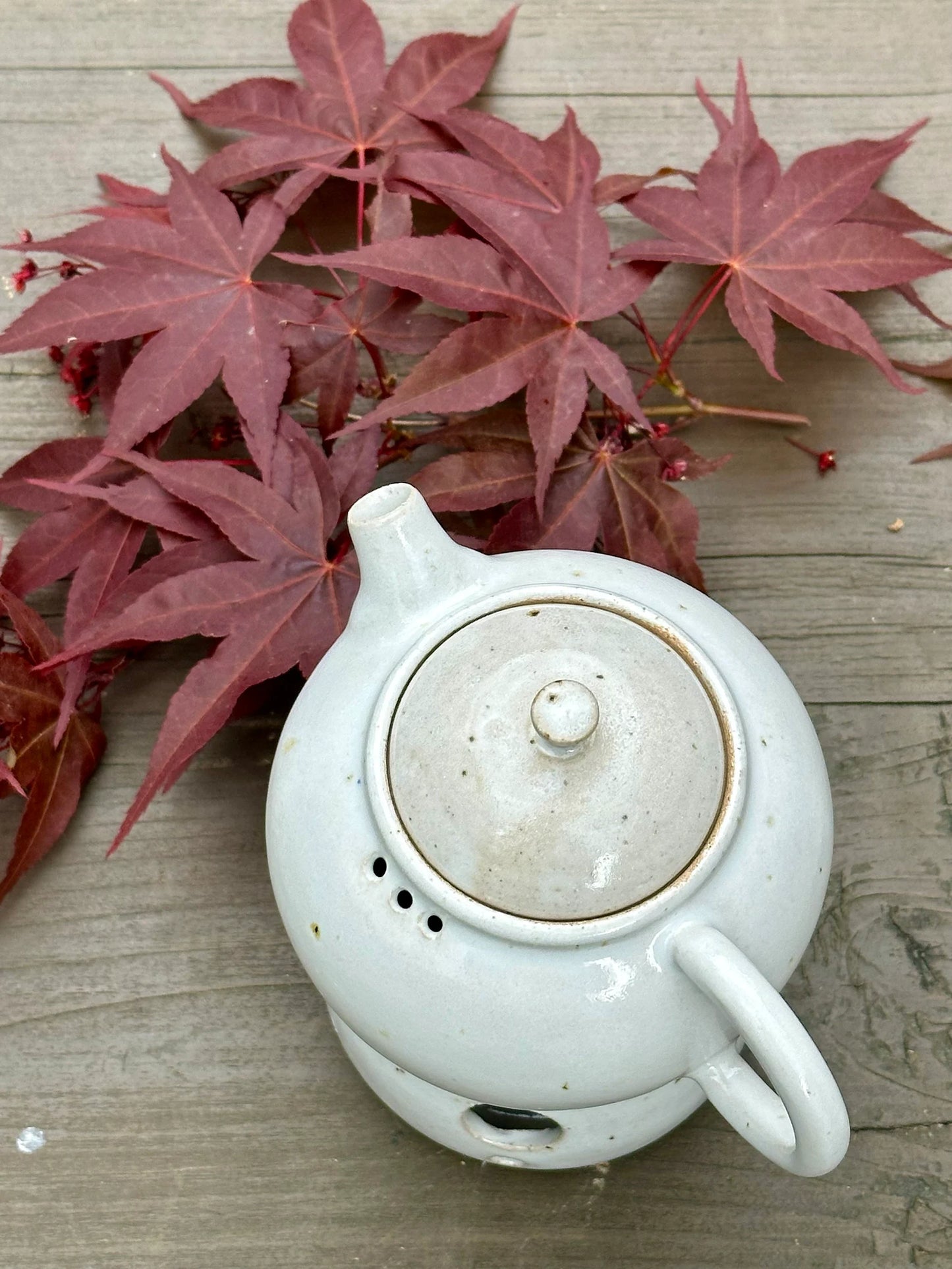 Teapot With Tea Warmer Stovetop